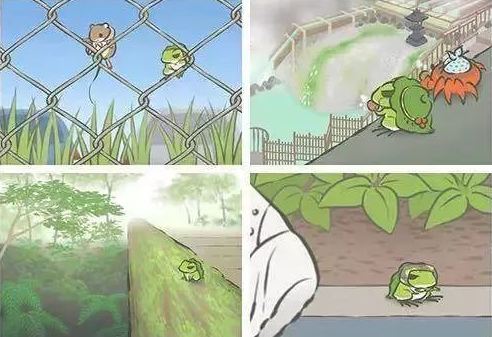 養貓失敗,養青蛙就能成功?.png 養貓失敗,養青蛙就能成功?.png